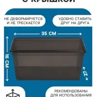 Ящик пластиковый для хранения, с крышкой, объём &mdash; 10 л, прозрачно-чёрный