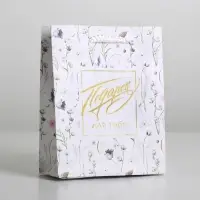 Пакет подарочный ламинированный, упаковка, Gift for you, S 12 х 15 х 5.5 см