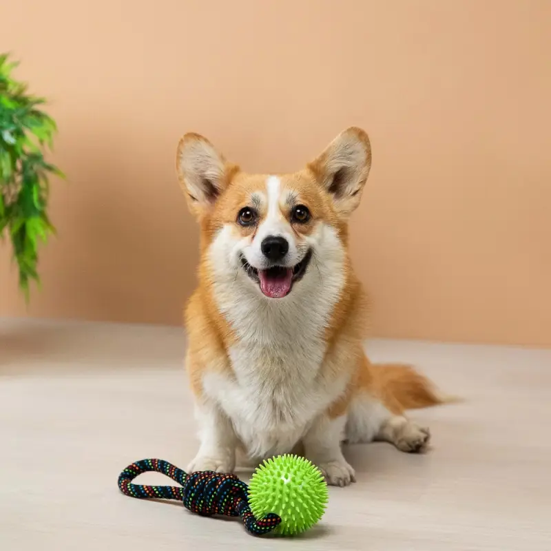 VETTA Игрушка для домашних животных, ПЭ, хлопок, ТПР, 34 см