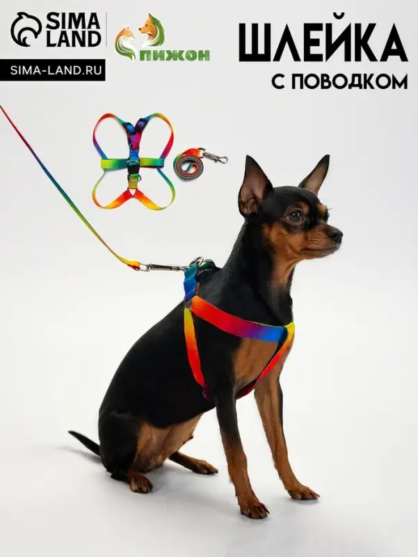 Шлейка с поводком &laquo;Радуга&raquo;, ОГ 24-34 с, поводок 120&times;1.5 см, капрон, разноцветная
