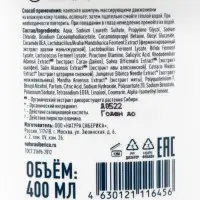 Шампунь глубокоочищающий против перхоти NS Lab Biome ANTI-DANDRUFF, 400 мл