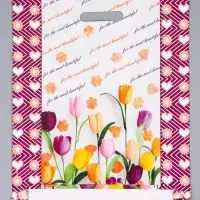 Пакет подарочный &laquo;Для тебя&raquo;, полиэтиленовый с вырубной ручкой, 38&times;47 см, 60 мкм