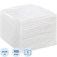Салфетки бумажные Выбор есть 1сл 24х24см целлюлоза белые 100л/уп_СПБ