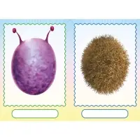 Книга с наклейками, сделай своего чудика &laquo;Мистер Друкс&raquo;