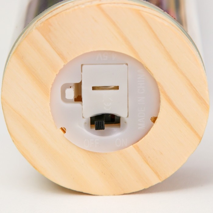 Ночник колба  Ночник колба "Букет из красных цветов" LED от батареек LR1130 6,5х6,5х19 см RISALUX