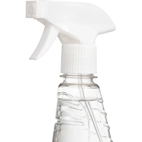 Антисептик кожный Альтсепт ЧАС спрей спиртовой 500 мл