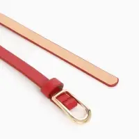 Ремень женский тонкий, 110&times;1.2 см, пряжка металл, золотистая, красный