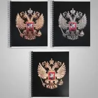 Тетрадь 96 листов в клетку, на гребне &laquo;Символика. Герб&raquo;, МИКС