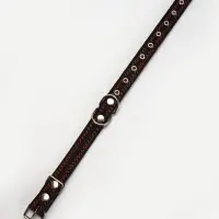Ошейник кожаный усиленный капроном с полукольцом, 55&times;2.5 см, ОШ 27-53 см, чёрный