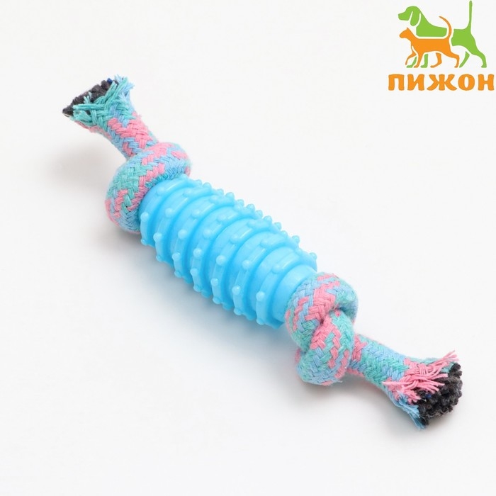 Игрушка жевательная Игрушка жевательная "Элемент", 17 х 3,2 см, голубая/розовая