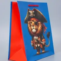 Пакет подарочный ламинированный &laquo;Пират&raquo; 18&times;22.3&times;10 см