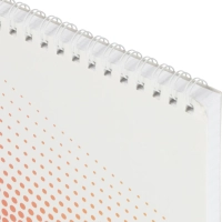 Блокнот А4,80л,клетка,метал.гребень,цв.обложка Forma