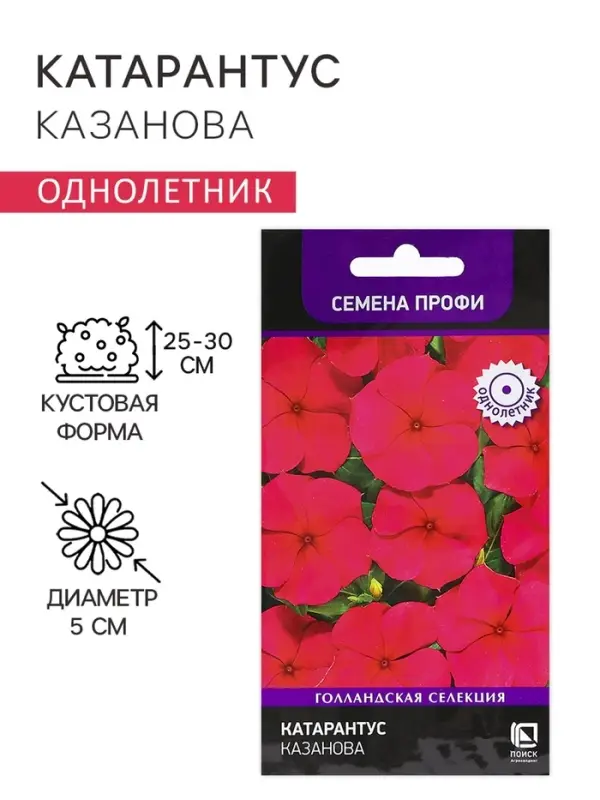 Семена цветов Катарантус  Семена цветов Катарантус "Казанова", 10шт
