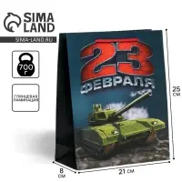 Пакет подарочный ламинированный, упаковка, &laquo;С 23 февраля&raquo;, ML 25&times;21&times;8 см