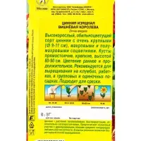 Семена цветов Цинния Вишневая королева , Ц/П,0,3 г Семена цветов Цинния Вишневая королева , Ц/П,0,3 г