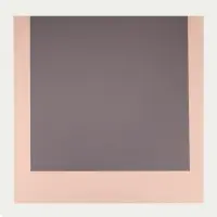 Пленка матовая, для цветов и декора, серая, лотос, 58×58 см