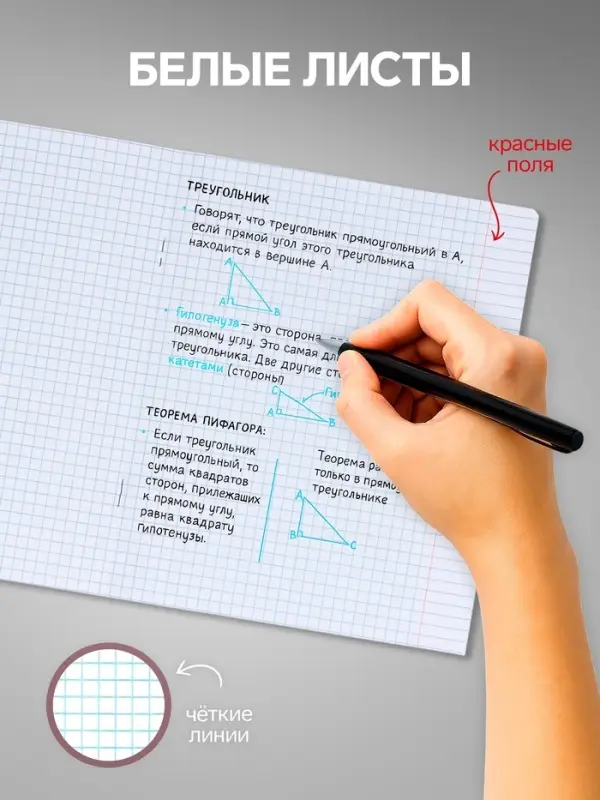 Комплект тетрадей из 10 штук, 18 листов в клетку Calligrata "King's school", обложка мелованный картон, блок офсет, 5 видов по 2 штуки