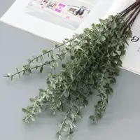 Цветы искусственные «Эвкалипт цинерия», h=53 см, зелёные Цветы искусственные «Эвкалипт цинерия», h=53 см, зелёные