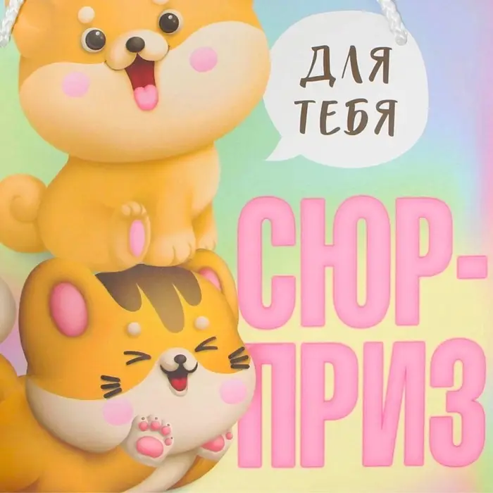 Пакет подарочный, упаковка, &laquo;Сюрприз&raquo;, 25&times;26&times;10 см