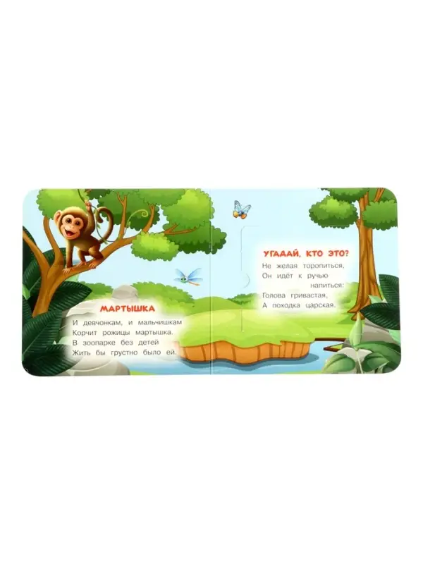 Книга с окошками &laquo;В. Степанов. Капибара в зоопарке&raquo;, 10 стр.
