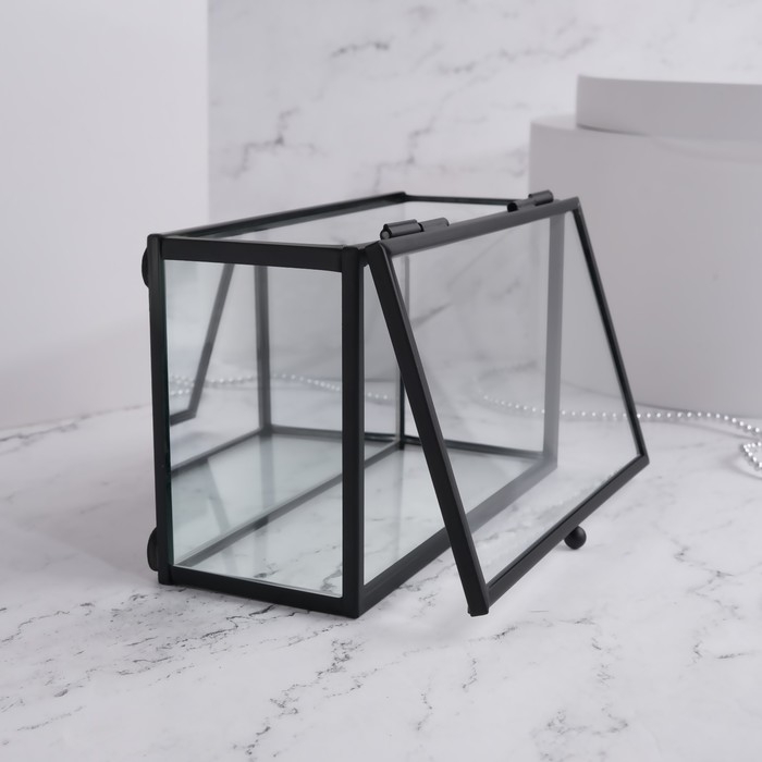 Органайзер для хранения, 1 секция, с крышкой, стеклянный, с зеркальным основанием, 14,5 &times; 8,5 см, цвет прозрачный/чёрный