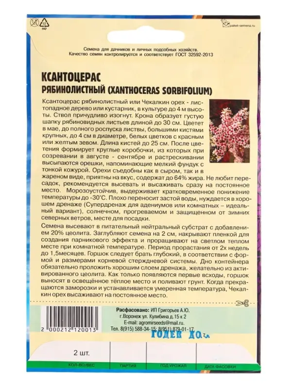 Семена Ксантоцерас Рябинолистный (Чекалкин орех) 2шт. 12.29 г.