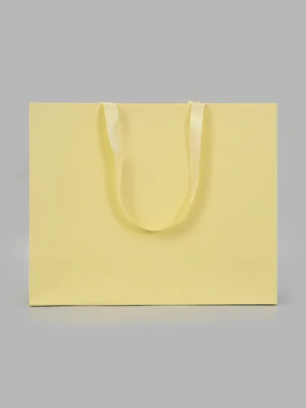 Пакет подарочный, ламинированный, горизонтальный, &laquo;Молочный&raquo;, 48&times;39&times;16 см