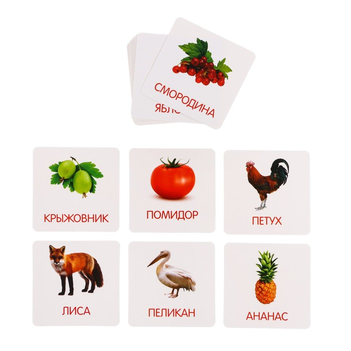 Развивающий набор с молоточками «Карточки Г.Домана» Развивающий набор с молоточками «Карточки Г.Домана»