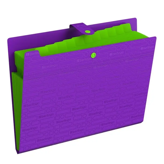 Папка А4, 12 отделений, Your Way, 600 мкм, на кнопке, фиолетовая