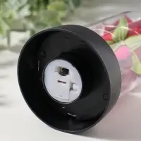 Фигурка световая колба RISALUX &laquo;Красная роза&raquo;, LED-ночник, 3&times;AG10, 8.5&times;8.5&times;15.5 см