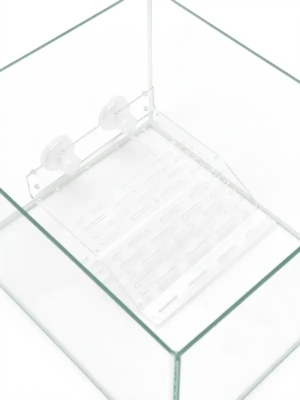 Мостик для черепах большой, 21.5&times;17.5&times;4 см, на присосках