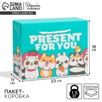 Пакет—коробка, подарочная упаковка, «Present», 23 х 18 х 11 см