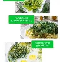 Семена Укроп &laquo;Обильнолистный&raquo;, 2 г, &laquo;Рецепты дедушки Никиты&raquo;