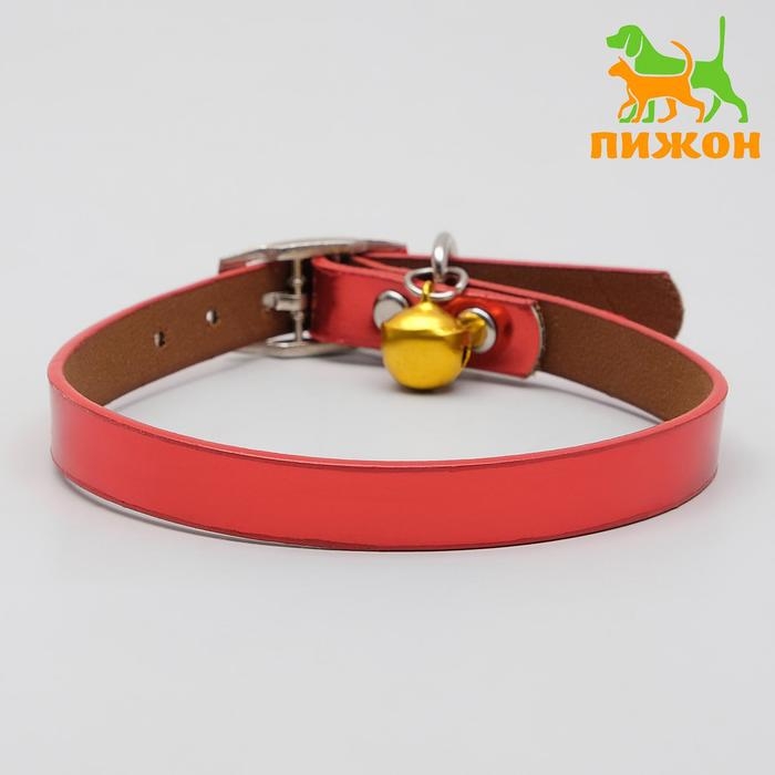 Ошейник для животных Ошейник для животных