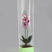 Пакет-переноска для цветов, с зелёным картонным основанием, 14&times;14&times;11.5&times;79&plusmn;5% см