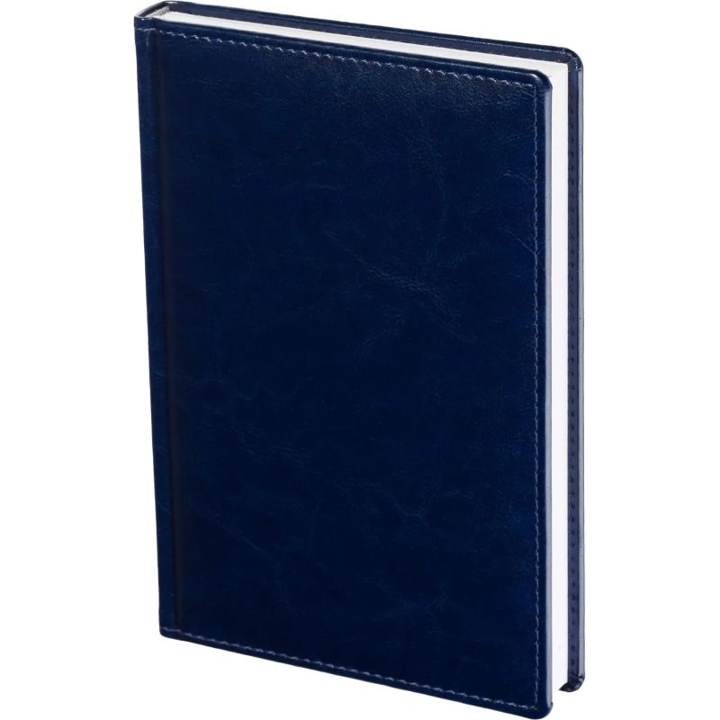 Ежедневник недатированный синий, А5, 148x218, 352стр, Agenda