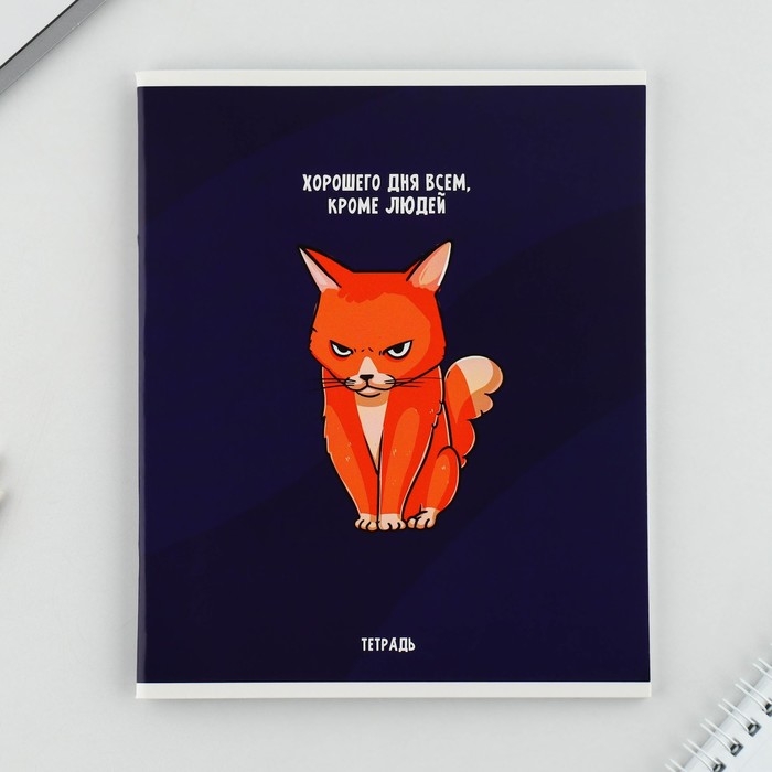 Тетрадь в клетку, 48 листов А5 на скрепке МИКС «1 сентября: Котики», обложка мелованный картон 230 гр внутренний блок №1, белизна 96% Тетрадь в клетку, 48 листов А5 на скрепке МИКС «1 сентября: Котики», обложка мелованный картон 230 гр внутренний блок №1, белизна 96%