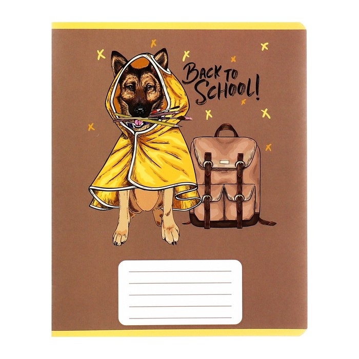 Комплект тетрадей из 10 штук, 12 листов в узкую линию Calligrata Комплект тетрадей из 10 штук, 12 листов в узкую линию Calligrata "Снова в школу", обложка мелованная бумага, ВД-лак, блок офсет, 5 видов по 2 штуки