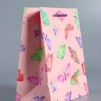 Пакет подарочный "Крылья счастья" ламинированный 18 х 22,3 х 10 см
