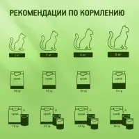 Сухой корм KiteKat &laquo;Мясной пир&raquo; для кошек, 15 кг