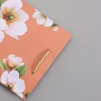 Пакет подарочный ламинированый "Гармония" 11,5 х 14,5 х 6,5 см