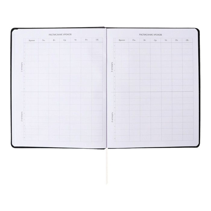 Дневник универсальный для 1-11 класса "Не тусил", интегральная обложка, искусственная кожа, шелкография, ляссе, 80 г/м2