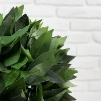 Дерево искусственное &laquo;Бонсай&raquo;, h=70 см, шар d=25 см