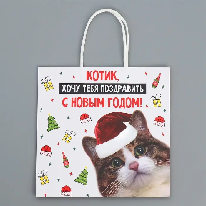 Пакет подарочный новогодний крафтовый &laquo;Котик&raquo;, 22&times;22&times;11 см