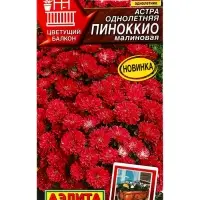 Семена цветов Астра Пиноккио малиновая Цветущий балкон, Ц/П,0,05 г Семена цветов Астра Пиноккио малиновая Цветущий балкон, Ц/П,0,05 г