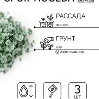 Семена цветов Дихондра &laquo;Серебристый водопад&raquo;, 3 шт.