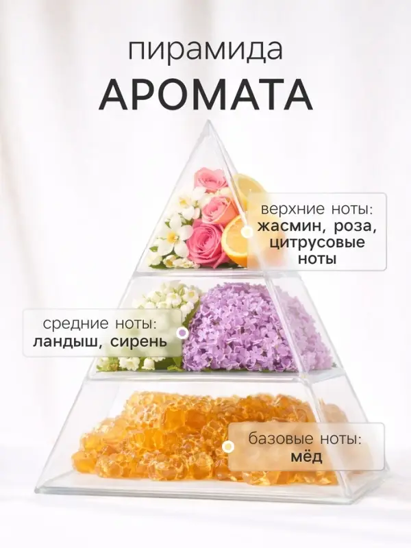 Диффузор ароматический с палочками Holi Admiration, 50 мл