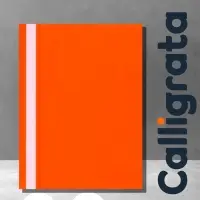 Папка-скоросшиватель Calligrata, А4, 120 мкм, оранжевая, прозрачный верх