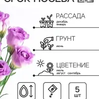 Семена цветов Эустома &laquo;Эйбиси&raquo;, F1, пурпурная крупноцветковая махровая, 5 шт., &laquo;Аэлита&raquo; селекция PanAmerican Seed