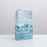Пакет подарочный с лентой, упаковка, «Present for you», 13 х 23 х 7 см